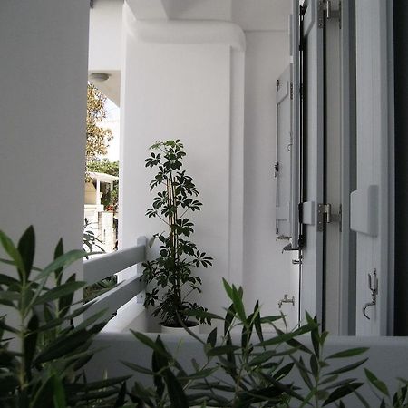 Aelia Apartments Naxos City Zewnętrze zdjęcie