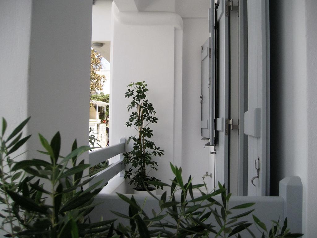 Aelia Apartments Naxos City Zewnętrze zdjęcie
